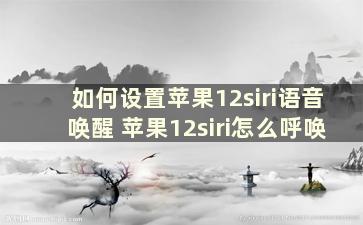 如何设置苹果12siri语音唤醒 苹果12siri怎么呼唤